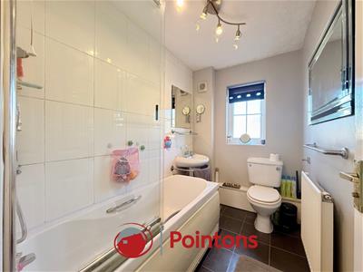 Picture 11